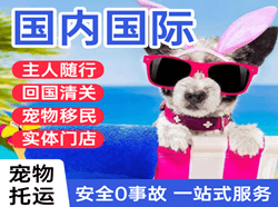大庆机场货运国际宠物托运 【国